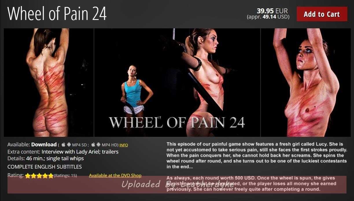 Wheel of Pain 24